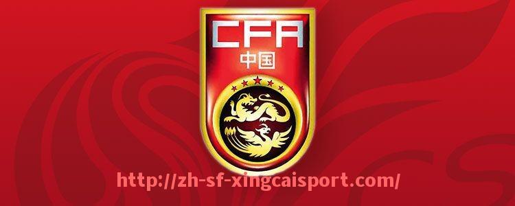 杏彩体育-2024赛季法甲战术效果评估及球队表现的深入分析