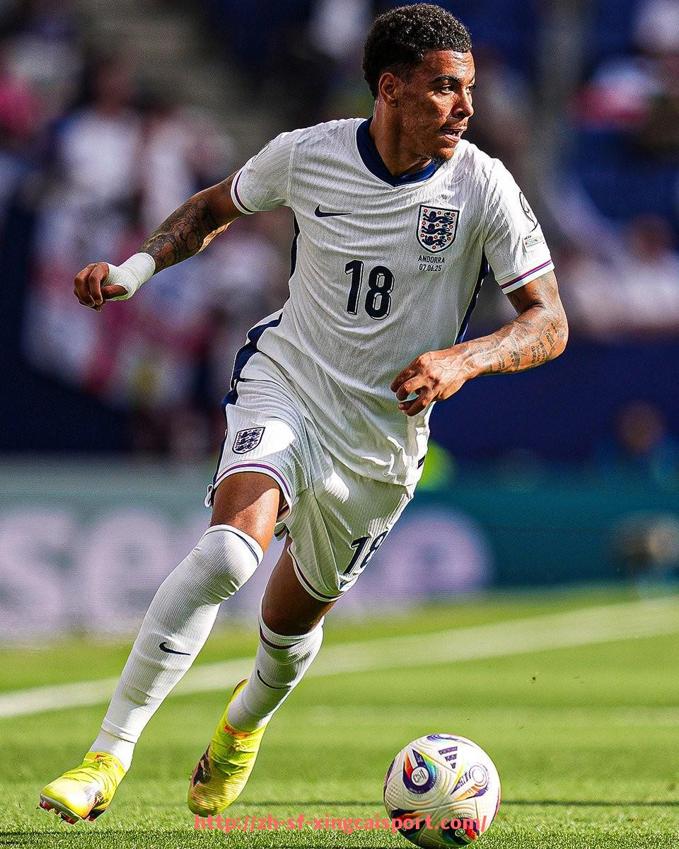 杏彩体育-世俱杯比赛中场技术统计上报流程与数据准确性要求