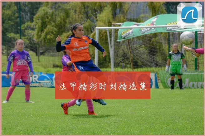 法甲精彩时刻精选集