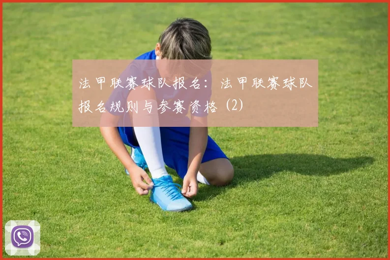 法甲联赛球队报名：法甲联赛球队报名规则与参赛资格 (2)