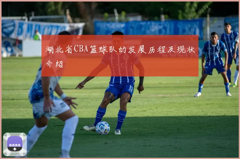 湖北省CBA篮球队的发展历程及现状介绍