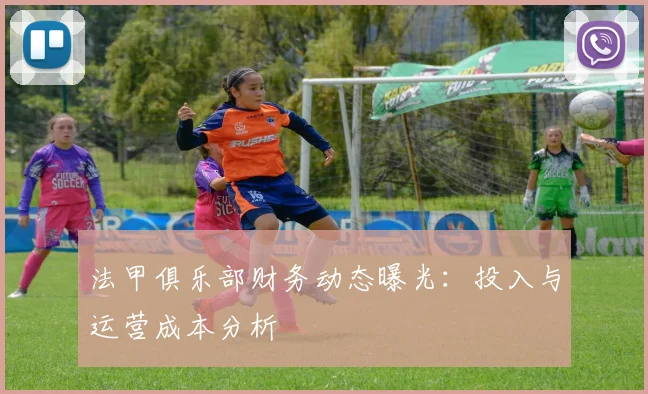 法甲俱乐部财务动态曝光：投入与运营成本分析