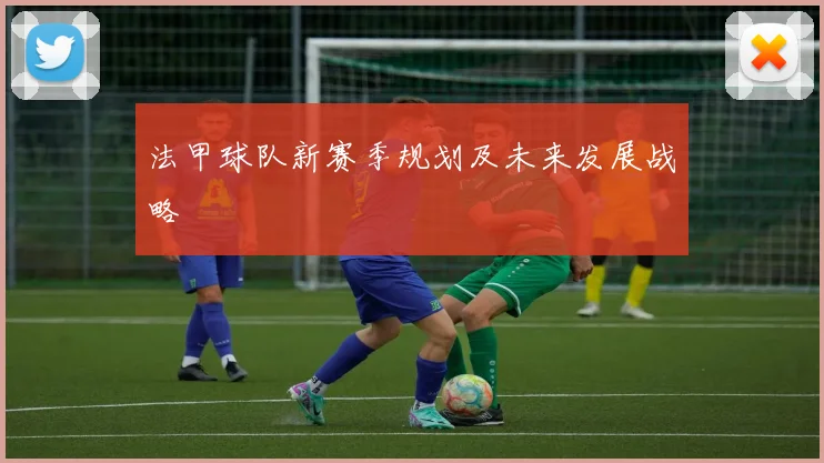 法甲球队新赛季规划及未来发展战略