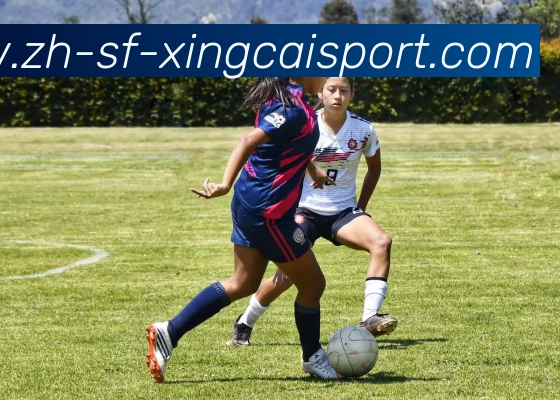 杏彩体育平台生态图