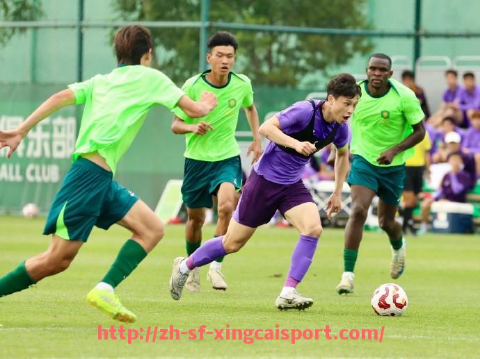 杏彩体育-意甲与德甲球队比赛比分及战术比较