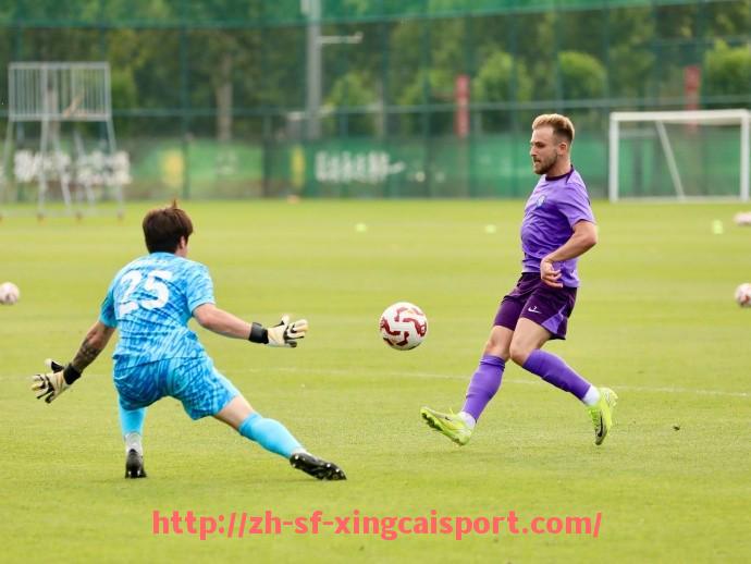 杏彩体育-钱伯斯谈意甲球队现状及未来发展趋势